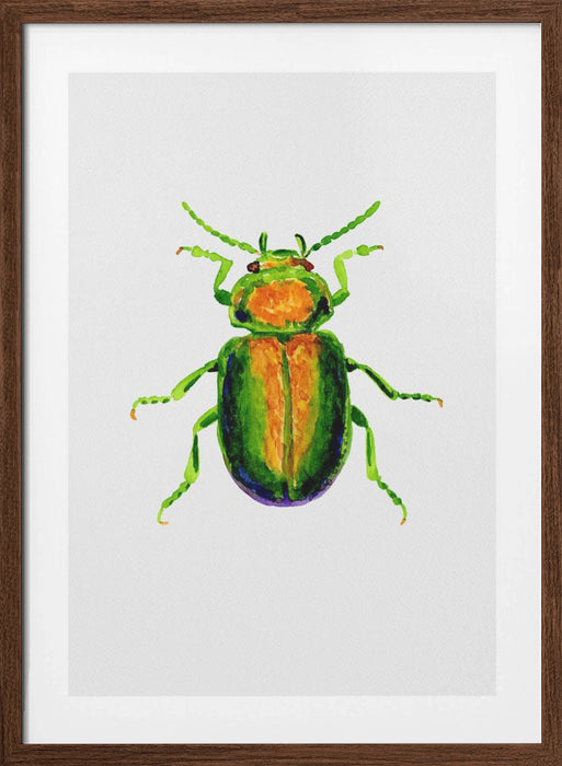 Tansy beetle or Chrysolina graminis Framed Art Wall Decor