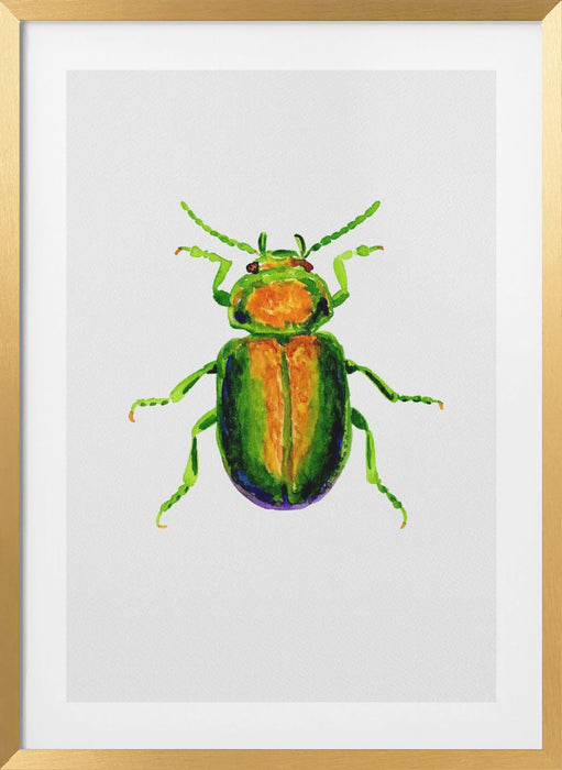 Tansy beetle or Chrysolina graminis Framed Art Wall Decor