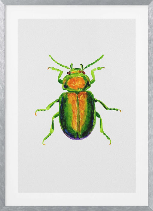 Tansy beetle or Chrysolina graminis Framed Art Wall Decor