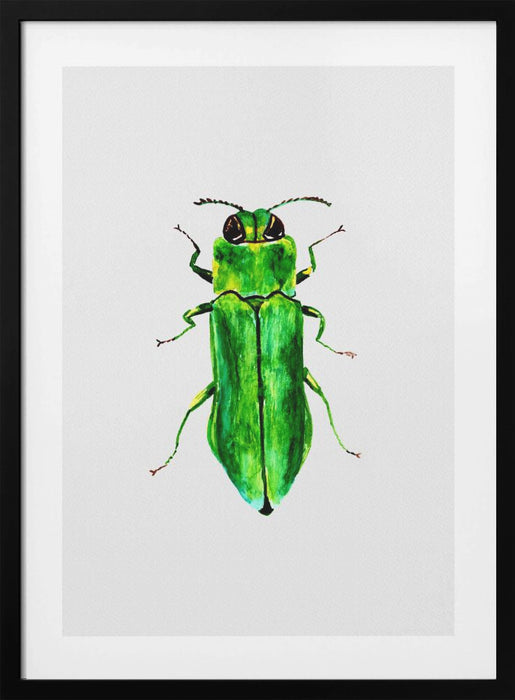 Jewel beetle or Agrilus angustulus Framed Art Modern Wall Decor