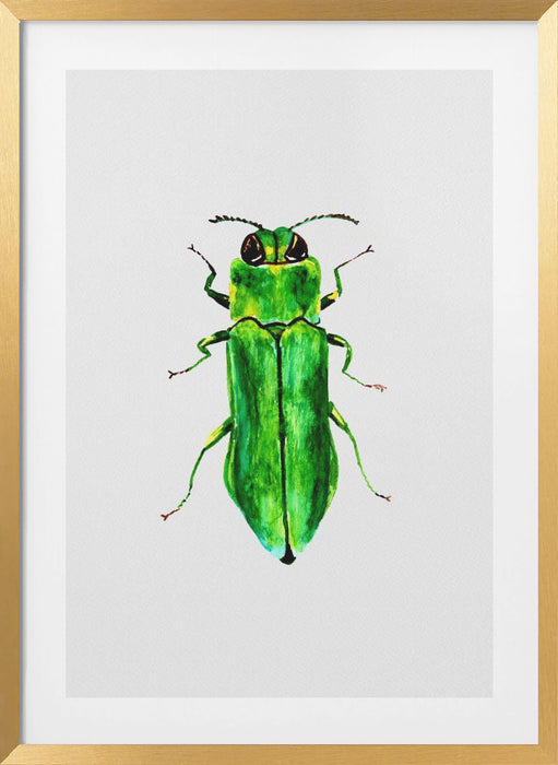 Jewel beetle or Agrilus angustulus Framed Art Modern Wall Decor