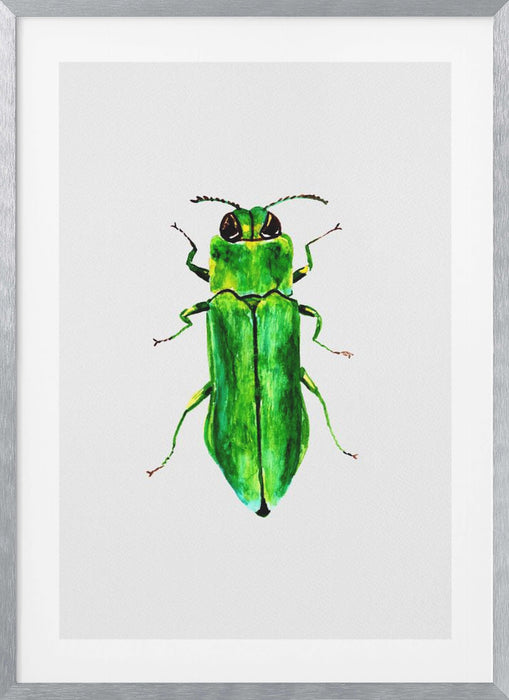 Jewel beetle or Agrilus angustulus Framed Art Modern Wall Decor