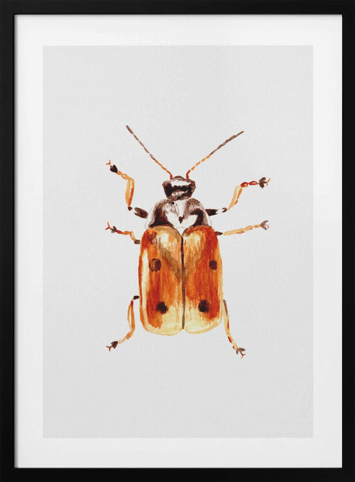 Another leaf beetle the Cryptocephalus cordiger Framed Art Modern Wall Decor