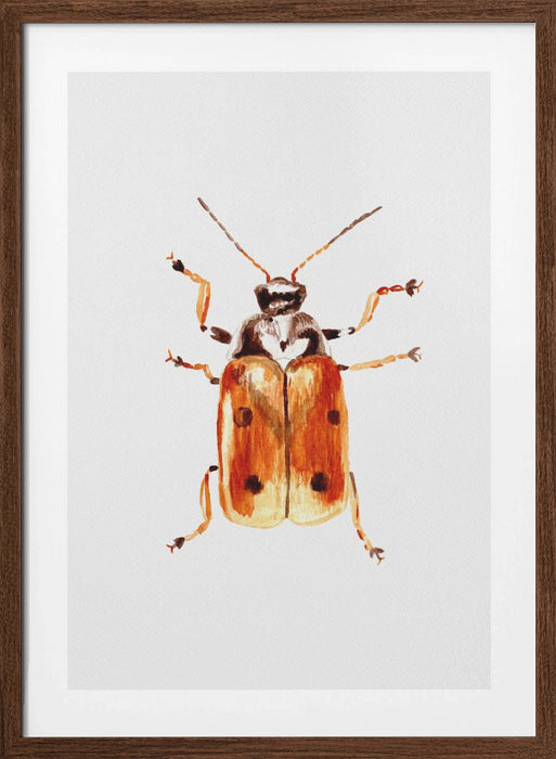 Another leaf beetle the Cryptocephalus cordiger Framed Art Modern Wall Decor