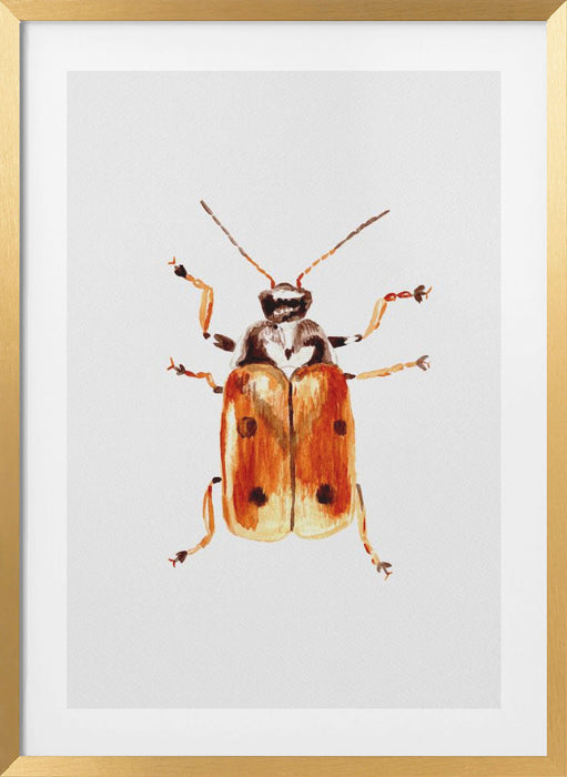 Another leaf beetle the Cryptocephalus cordiger Framed Art Modern Wall Decor