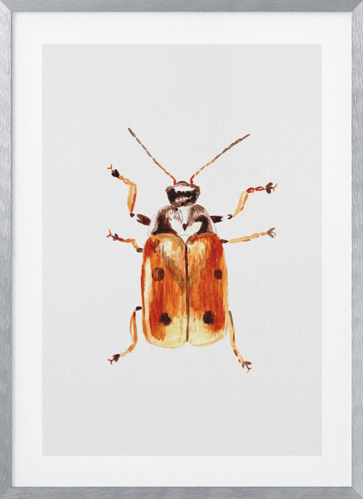 Another leaf beetle the Cryptocephalus cordiger Framed Art Modern Wall Decor