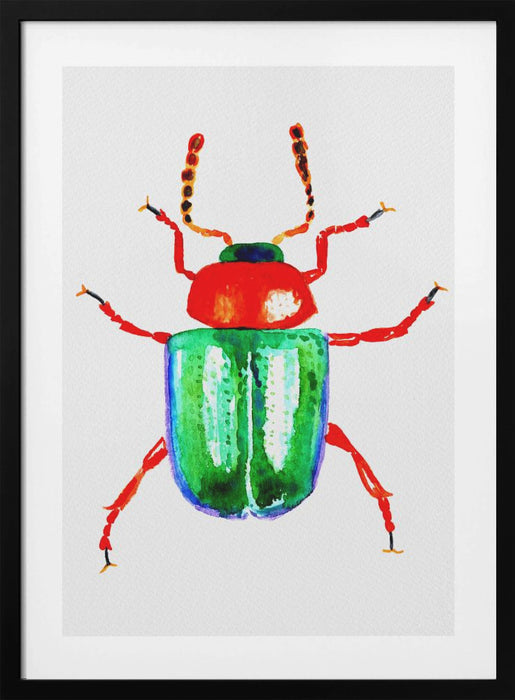 Knotweed beetle or Gastrophysa polygoni Framed Art Modern Wall Decor