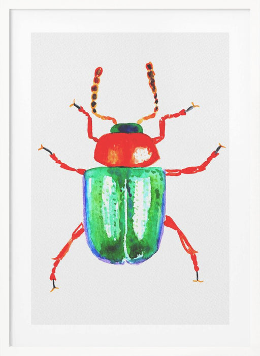 Knotweed beetle or Gastrophysa polygoni Framed Art Modern Wall Decor