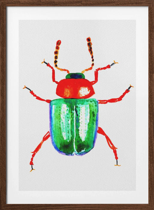 Knotweed beetle or Gastrophysa polygoni Framed Art Modern Wall Decor