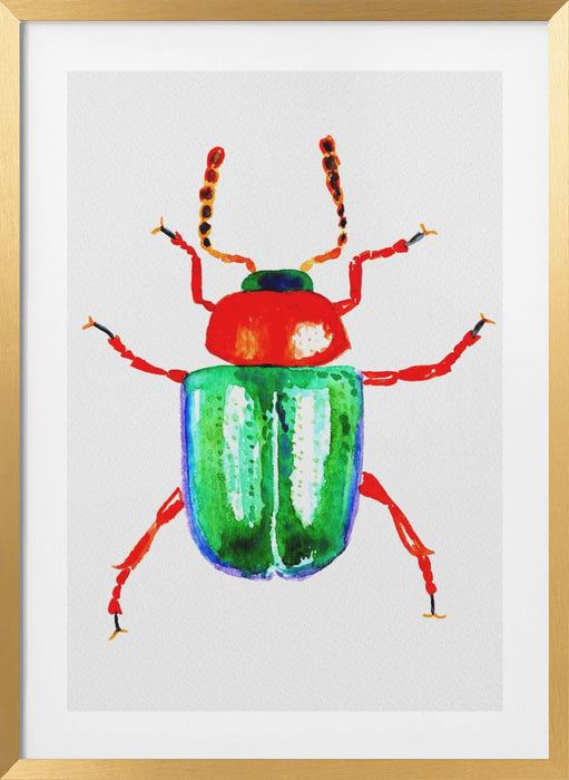 Knotweed beetle or Gastrophysa polygoni Framed Art Modern Wall Decor