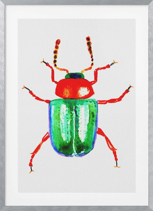 Knotweed beetle or Gastrophysa polygoni Framed Art Modern Wall Decor