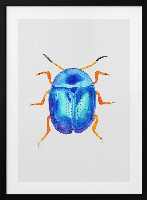 Blue leaf beetle or Colaphus sophiae Framed Art Modern Wall Decor