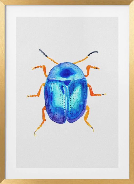 Blue leaf beetle or Colaphus sophiae Framed Art Modern Wall Decor