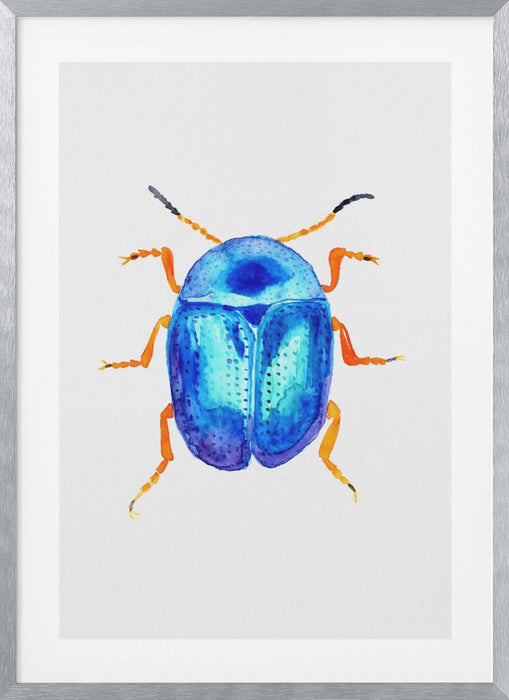 Blue leaf beetle or Colaphus sophiae Framed Art Modern Wall Decor