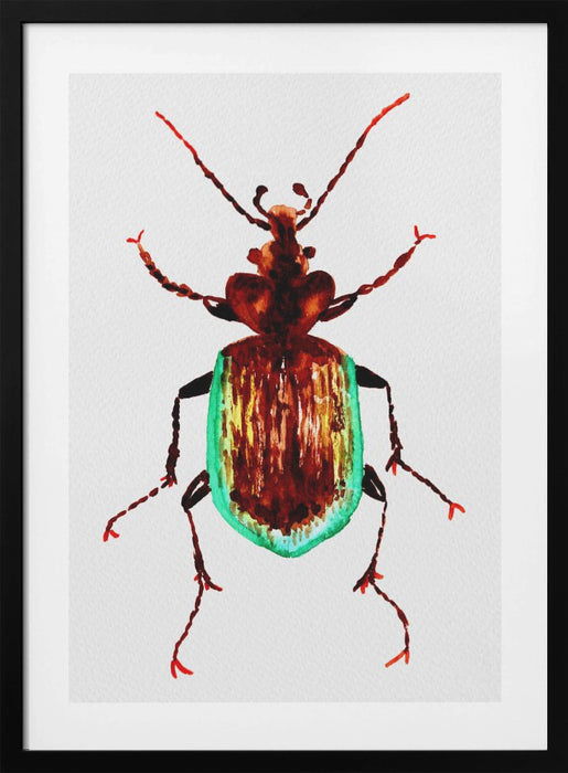 Caterpillar hunter beetle or Calosoma scrutator Framed Art Modern Wall Decor