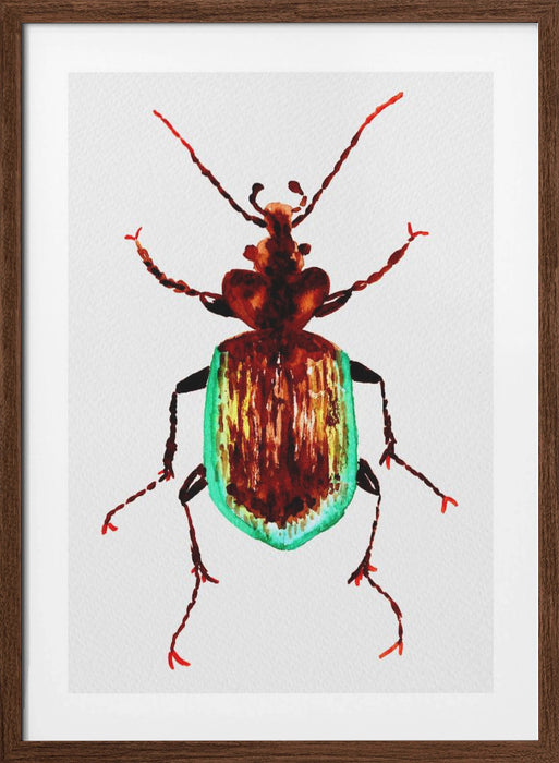 Caterpillar hunter beetle or Calosoma scrutator Framed Art Modern Wall Decor