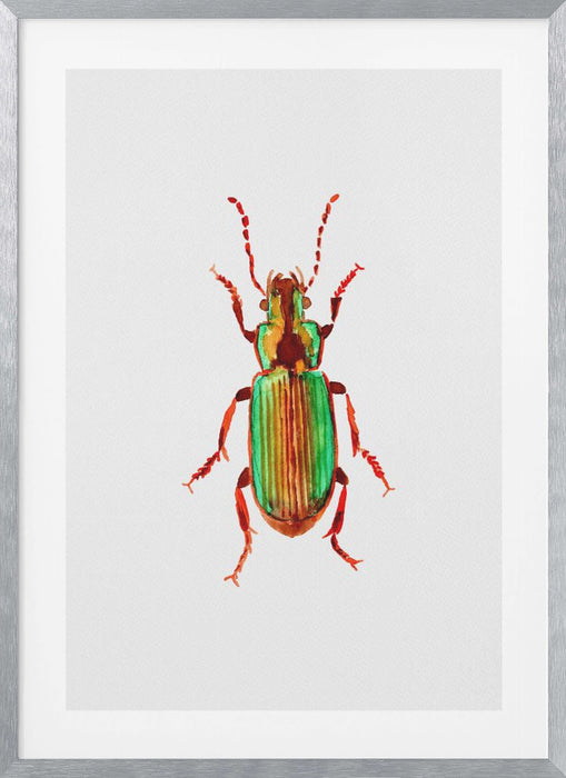 Carabidae ground beetle or Harpalus distinguendus Framed Art Modern Wall Decor