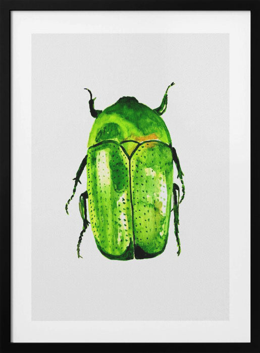 Green June beetle or Cotinis nitida Framed Art Modern Wall Decor