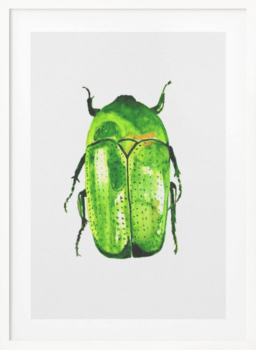 Green June beetle or Cotinis nitida Framed Art Modern Wall Decor