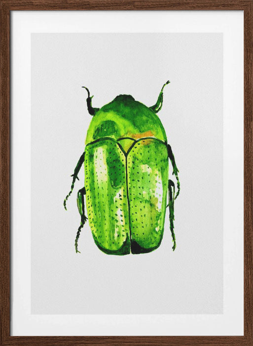 Green June beetle or Cotinis nitida Framed Art Modern Wall Decor