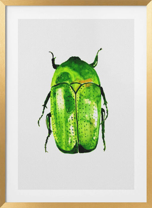 Green June beetle or Cotinis nitida Framed Art Modern Wall Decor