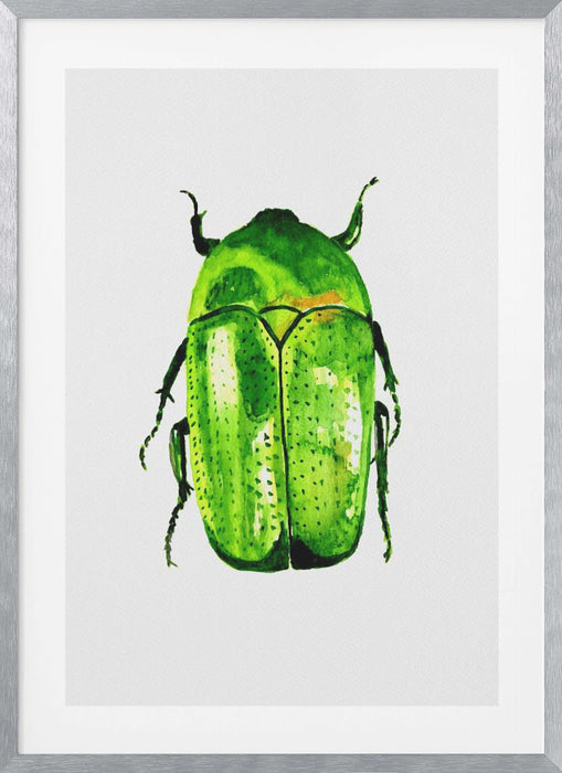 Green June beetle or Cotinis nitida Framed Art Modern Wall Decor