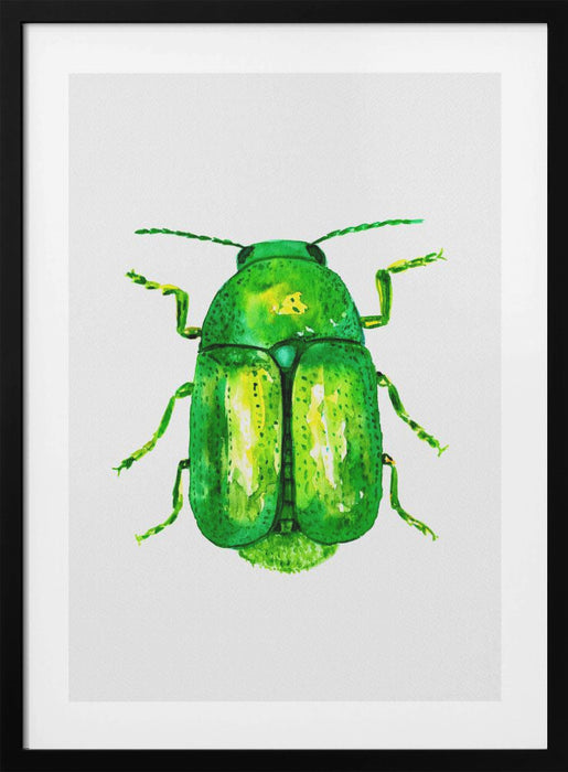 Cylindrical leaf beetle or Cryptocephalus sericeus Framed Art Modern Wall Decor