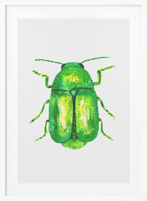 Cylindrical leaf beetle or Cryptocephalus sericeus Framed Art Modern Wall Decor