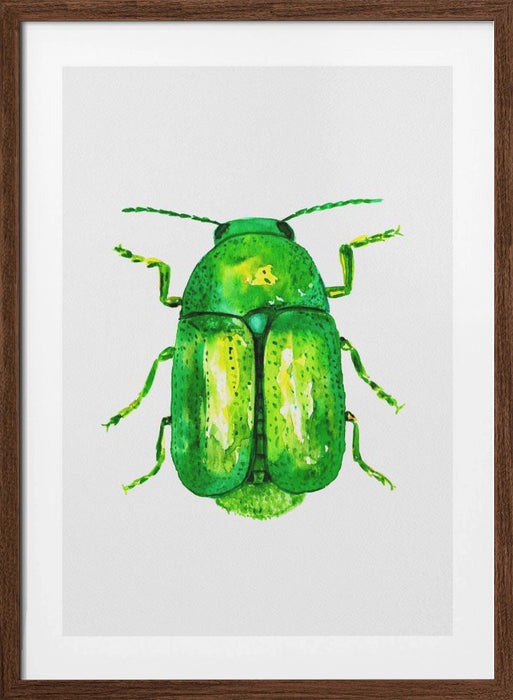 Cylindrical leaf beetle or Cryptocephalus sericeus Framed Art Modern Wall Decor