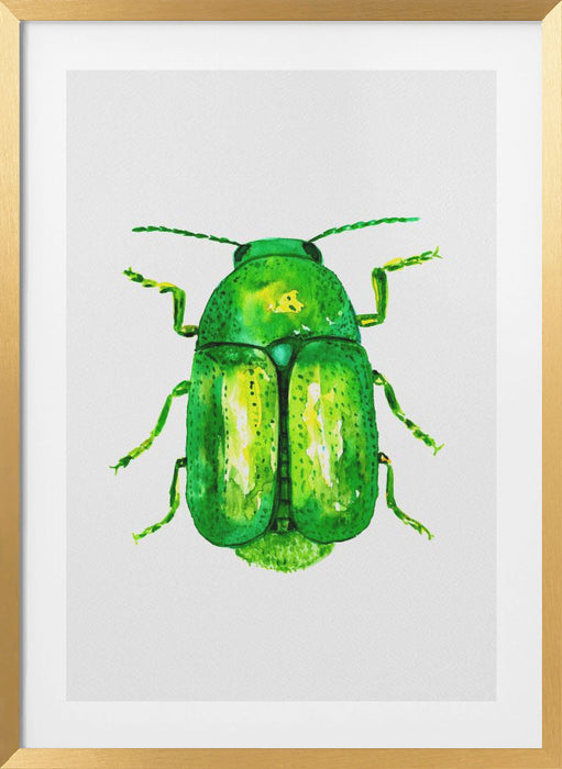 Cylindrical leaf beetle or Cryptocephalus sericeus Framed Art Modern Wall Decor