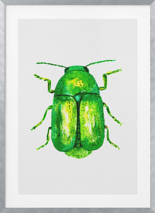 Cylindrical leaf beetle or Cryptocephalus sericeus Framed Art Modern Wall Decor