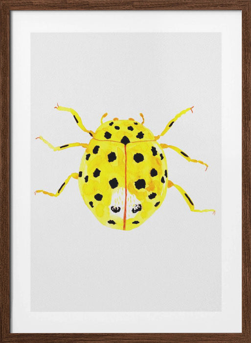 The 22-spot ladybird or Psyllobora vigintiduopunctata Framed Art Modern Wall Decor