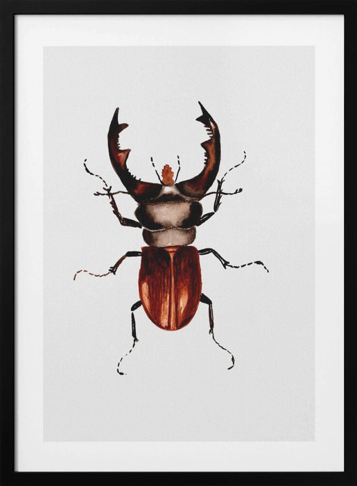 Stag beetle or Lucanus cervus Framed Art Modern Wall Decor