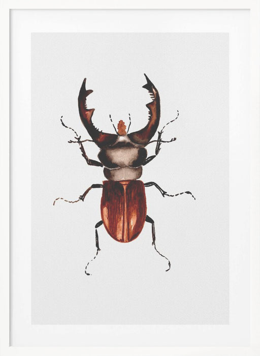 Stag beetle or Lucanus cervus Framed Art Modern Wall Decor