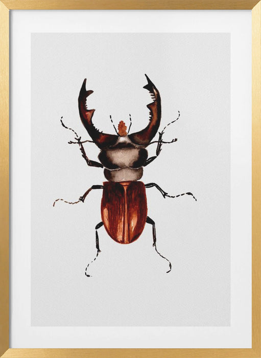 Stag beetle or Lucanus cervus Framed Art Modern Wall Decor