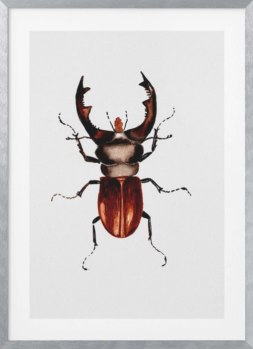 Stag beetle or Lucanus cervus Framed Art Modern Wall Decor