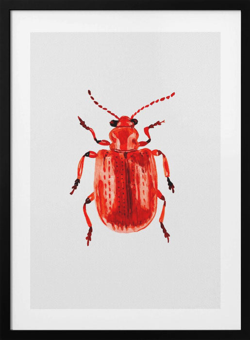 Onion beetle or Lilioceris merdigera Framed Art Modern Wall Decor