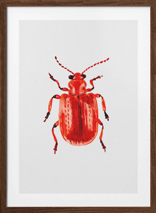 Onion beetle or Lilioceris merdigera Framed Art Modern Wall Decor