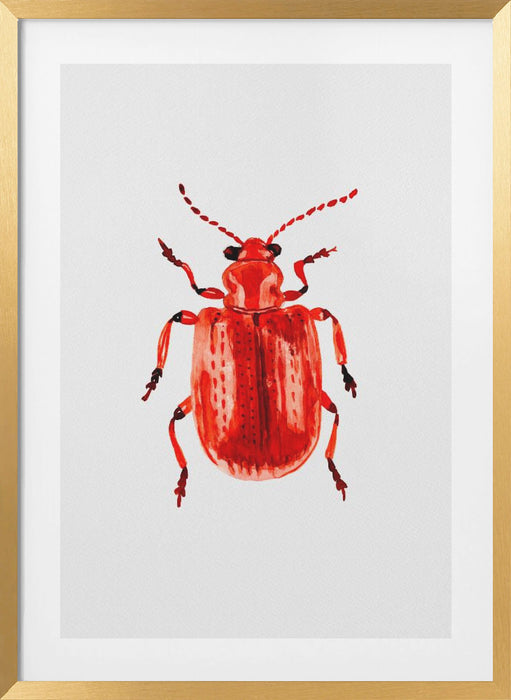 Onion beetle or Lilioceris merdigera Framed Art Modern Wall Decor