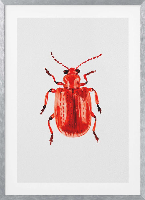 Onion beetle or Lilioceris merdigera Framed Art Modern Wall Decor