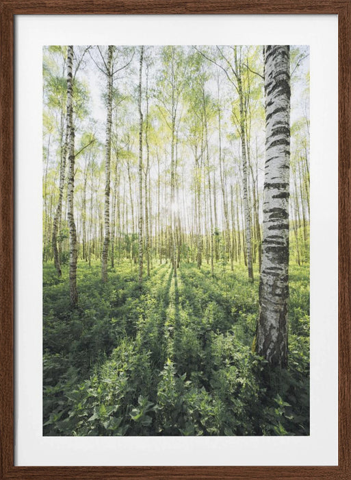 Birch Grove vertical Framed Art Modern Wall Decor