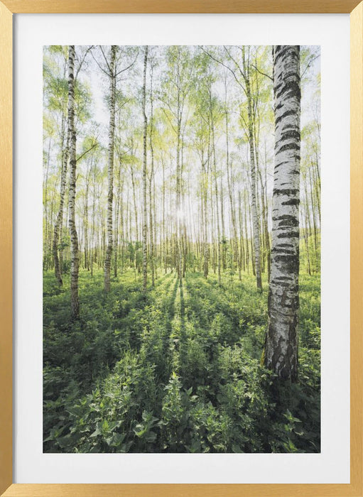 Birch Grove vertical Framed Art Modern Wall Decor