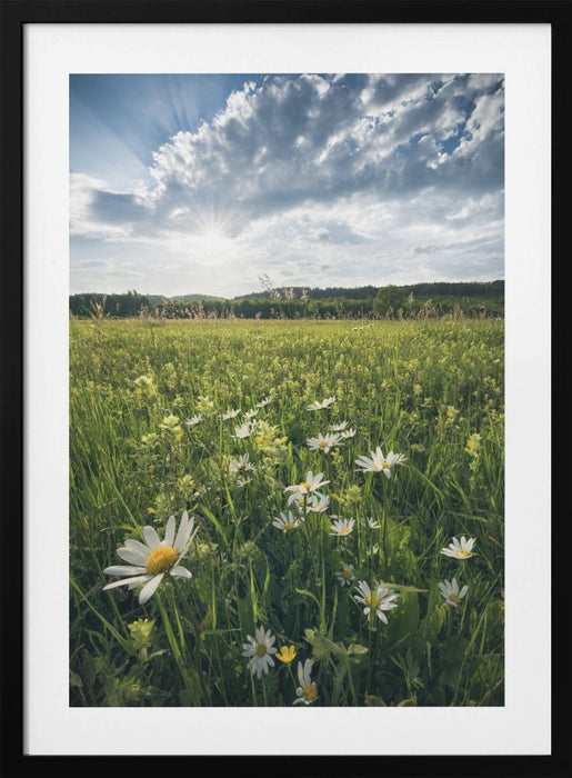 Flowering Meadow Framed Art Modern Wall Decor