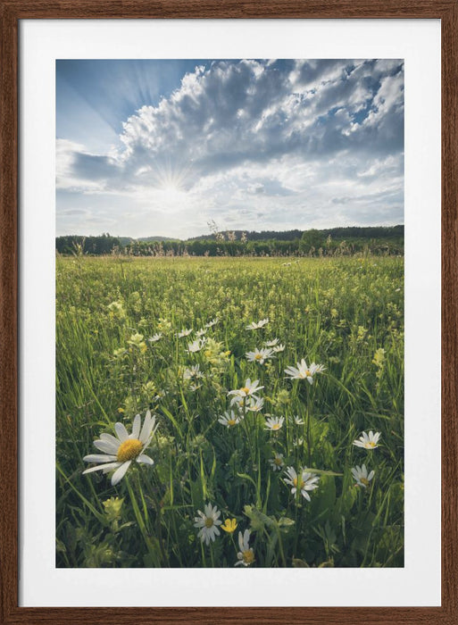 Flowering Meadow Framed Art Modern Wall Decor