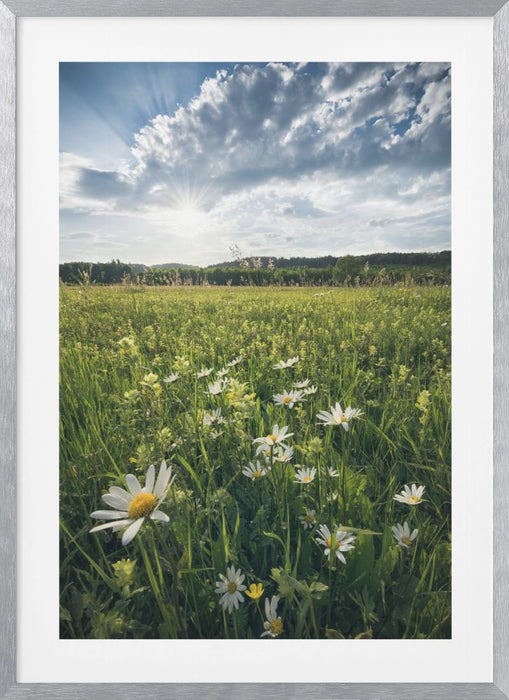 Flowering Meadow Framed Art Modern Wall Decor