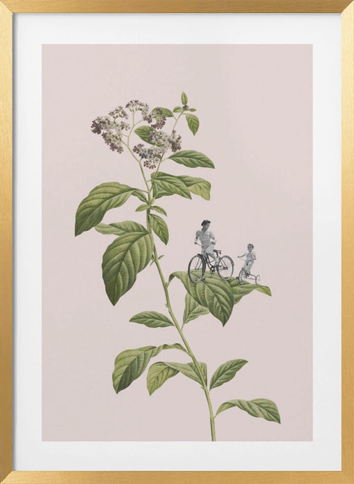 Botanical cycling Framed Art Modern Wall Decor