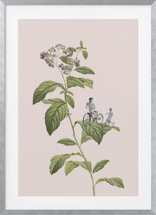 Botanical cycling Framed Art Modern Wall Decor