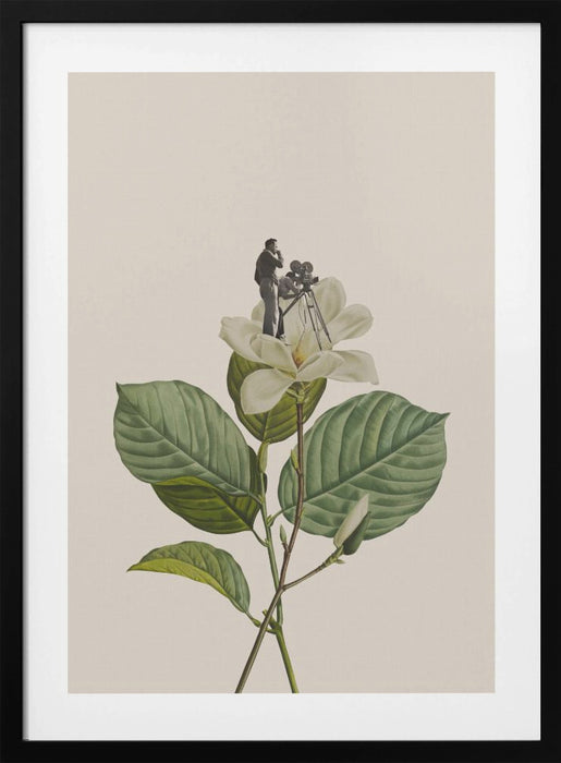 Botanical vintage cameraman Framed Art Modern Wall Decor