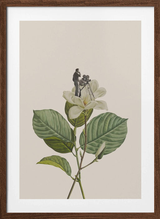 Botanical vintage cameraman Framed Art Modern Wall Decor