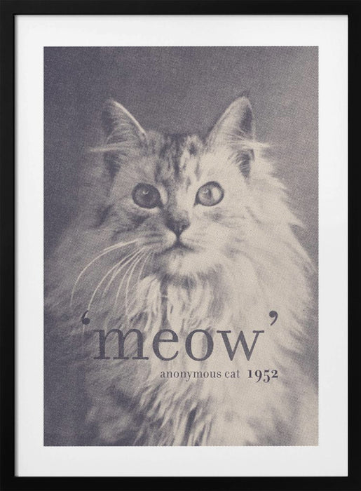 Famous Quote Cat Framed Art Modern Wall Decor